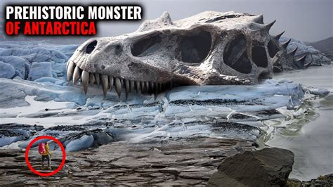 Giant Skeleton Found In Antarctica Youtube