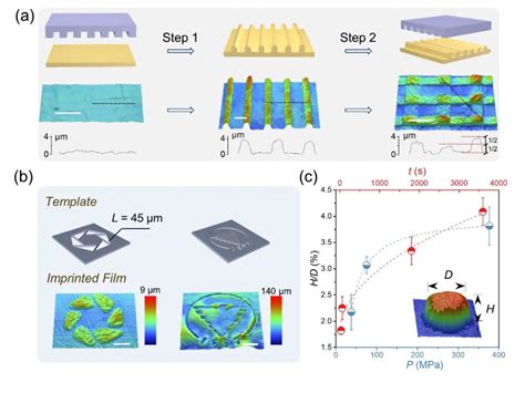 浙江大学高超课题组：高分子插层辅助的氧化石墨烯高精度热塑成型 Nano Micro Letters