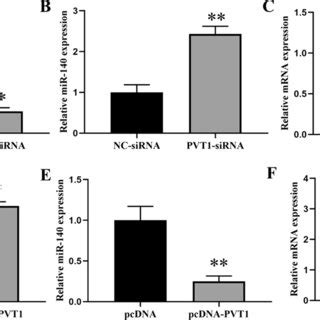 Effect Of Il On The Gene Expressions In Chondrocytes A Comparison