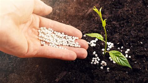 Plant fertilizer numbers: NPK ratios explained | Homes & Gardens