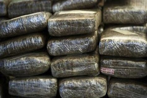 Trafic De Drogue Plus De Kilos De Coca Ne Intercept S Dans