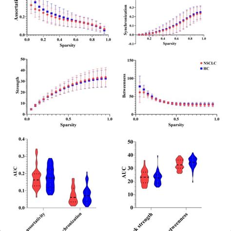 Group Differences In The Network Measures Of The Functional Brain