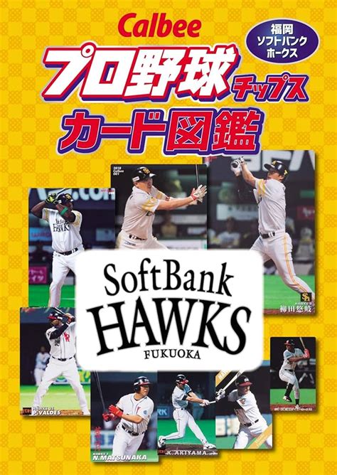 プロ野球チップスカード その他