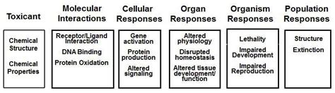 The Adverse Outcome Pathway Aop Concept Download Scientific Diagram