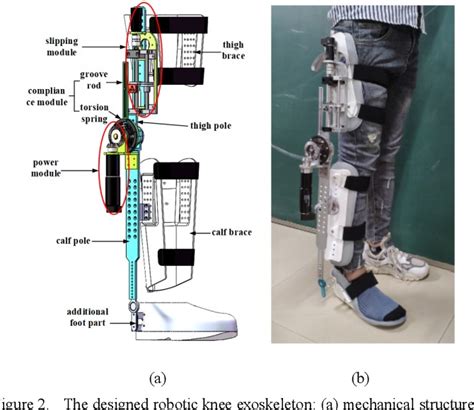 Figure From Design And Simulation Of A Robotic Knee Exoskeleton With