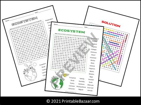 Ecosystem Word Search Puzzle Teaching Resources