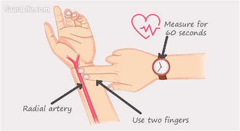 Resting Heart Rate How To Maintain Normal Pulse Rate