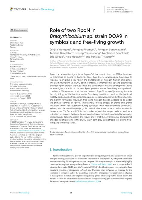 PDF Role Of Two RpoN In Bradyrhizobium Sp Strain DOA9 In Symbiosis