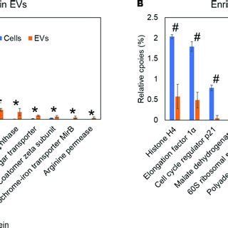 Comparative Proteomic Analysis Of Histoplasma Capsulatum