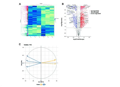 Representation Of Differentially Abundant Proteins Daps In High And Download Scientific