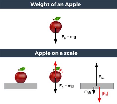 Mass and Weight - Labster