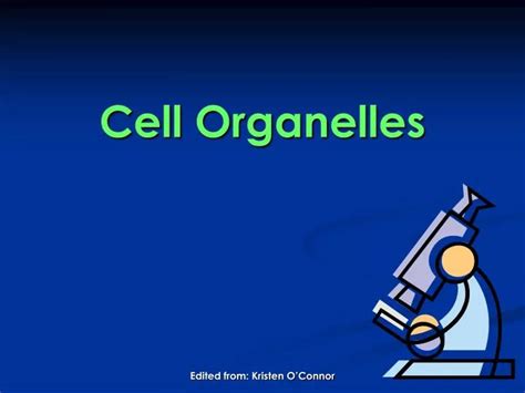 Ppt Cell Organelles Powerpoint Presentation Free Download Id6502072