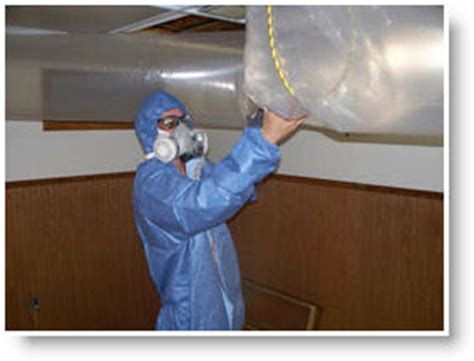 Mold Prevention and Cleanup Tips