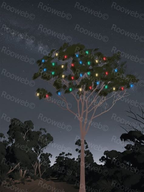 christmas gum tree rooweb