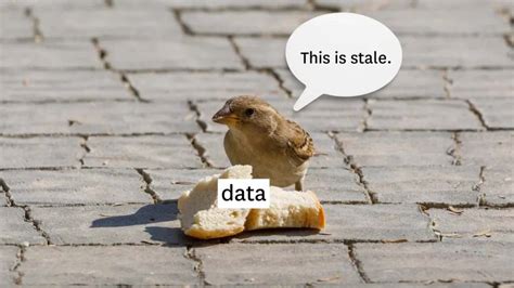 stale data explained   kills data driven organizations