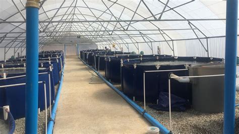 Modular Land Based Aquaculture Global Opportunity Explorer