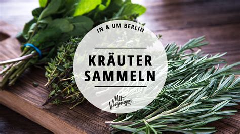 11 gute Orte zum Kräutersammeln in und um Berlin Mit Vergnügen Berlin