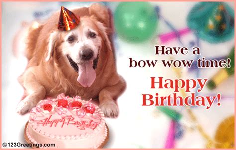 Pet Birthday Free Pets Ecards Greeting Cards 123 Greetings