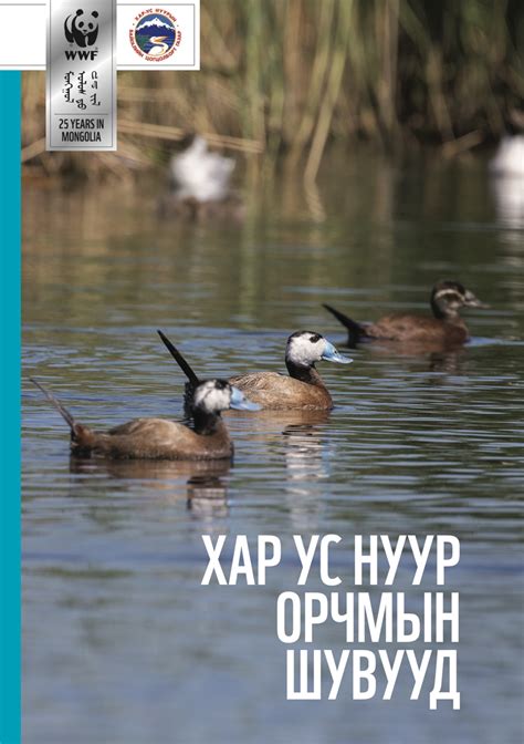 Хар ус нуур орчмын шувууд Wwf