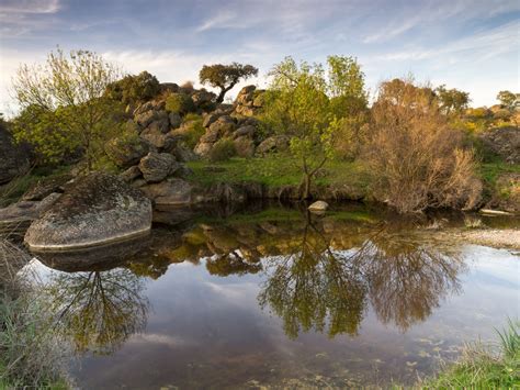 Parque Natural Cornalvo Proyecto Libera