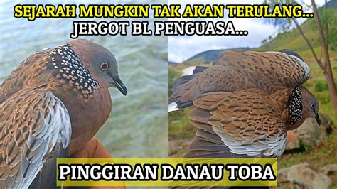 Sejarah Mungkin Tak Akan Terulangjergot Bl Jumbo Penguasa Pinggiran