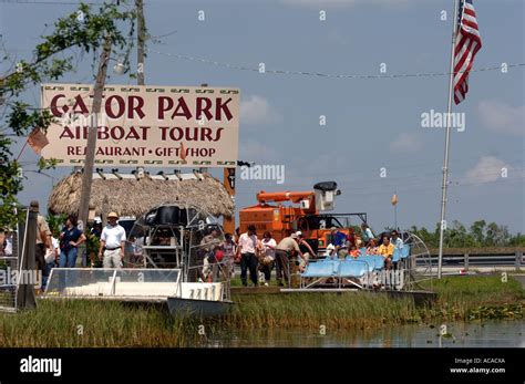 Gator Park Miami in the Everglades National Park Florida USA Stock Photo - Alamy