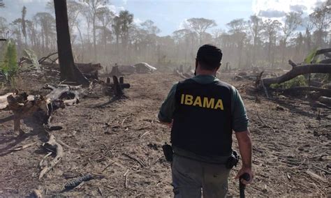 Piripkura Ibama Faz Opera O Em Terra Ind Gena Ap S Nove Meses De