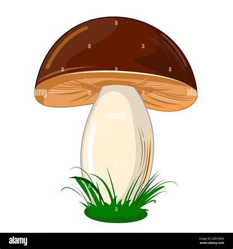 Mushroom Isolated On White Background Cute Cartoon Style Beautiful