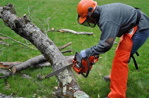 Safety Tips When Using Your Chainsaw - sawzilla parts