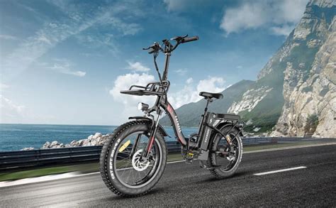 Fafrees F20 Max Vélo électrique pliant 20 pouces Vélo électrique 48 V