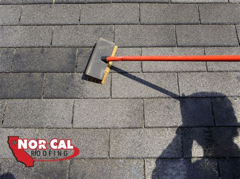 How To Clean Your Roof Shingles Nor Cal Roofing Residential