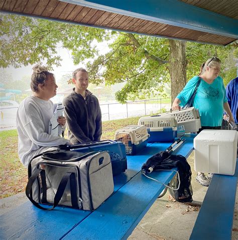 FACE LOW-COST ANIMAL CLINIC - Indianapolis IN - Hours, Directions