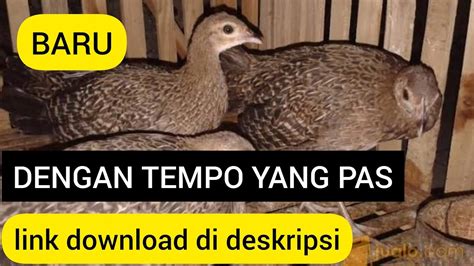 MP3 Suara Mak Lampir Andalan Saya Dengan Tempo Yang Pas Cocok Untuk