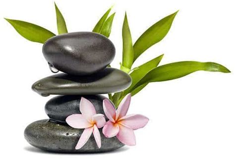 About Spa In Wesley Chapel FL Best Massage In Wesley Chapel FL