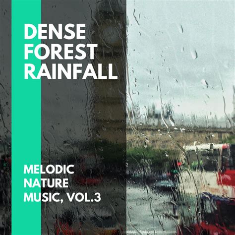 Dense Forest Rainfall Melodic Nature Music Vol 3 Compilation By