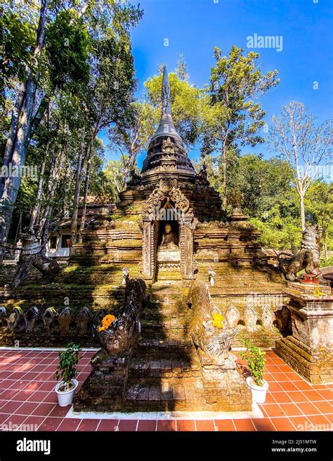 Wat Pha Lat Or Wat Palad Old Temple In Jungle Chiang Mai Thailand