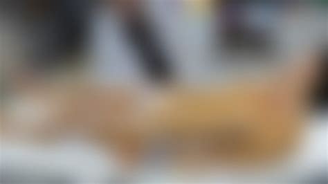 Ekg Porn Videos Clips Sale