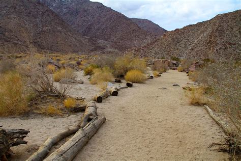 Anza Borrego Palm Canyon Trail Guide | Outdoor SoCal