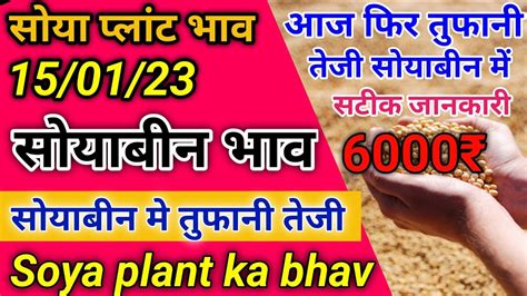 सोया प्लांट भाव 15 जनवरी 2022 सोया प्लांट भाव लाइवsoya Plant Bhav