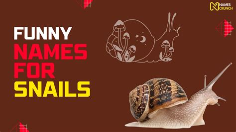 290 Funny Names For Snails Names Crunch