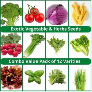 CYBEXIS Vegetables Herbs Combo 12 Varieties 1365 Seeds Seed Price In