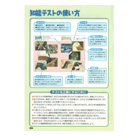 知能 テスト 4歳（緑）n04561 知育 幼児 教材 学研 ステイフル 公式 N04561学研ステイフル Yahooショップ 通販