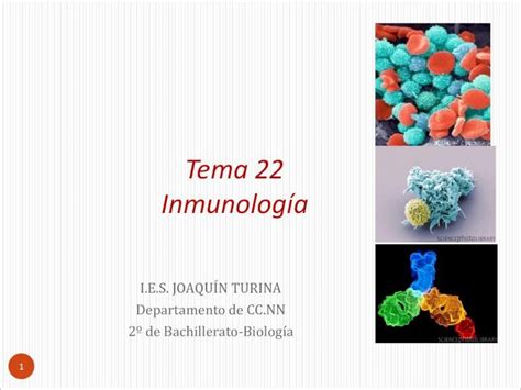 PDF Tema 22 Inmunología 2019 5 3 Tema 22 2 Ana Molina Sistema