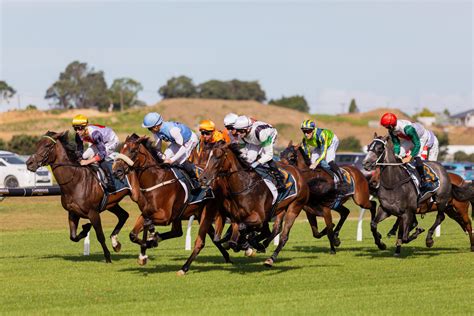 Ellerslie Auckland Thoroughbred Racing