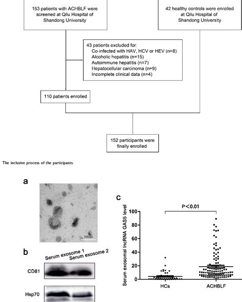 Figure 1 From Serum Exosomal Long Noncoding Rna Growth Arrest Specific