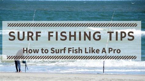 Surf Fishing Tips - How to Surf Fish Like A Pro - OutdoorStack