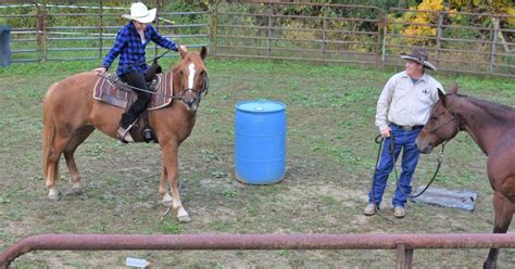 Hawkins County Humane Society to host horse seminar | Features ...