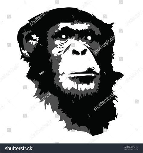 Chimp Vector 23752114 Shutterstock