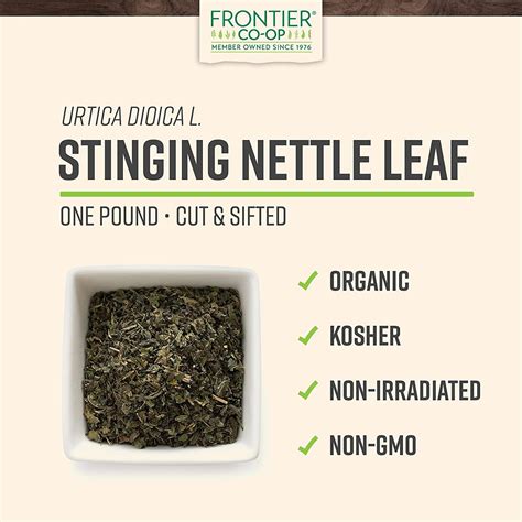 Frontier Co Op Nettle Stinging Leaf Cut Sifted Certified Organic