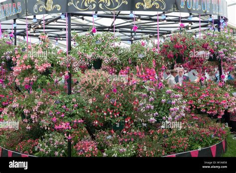 East Molesey Gro Britannien Juli Rhs Hampton Court Palace